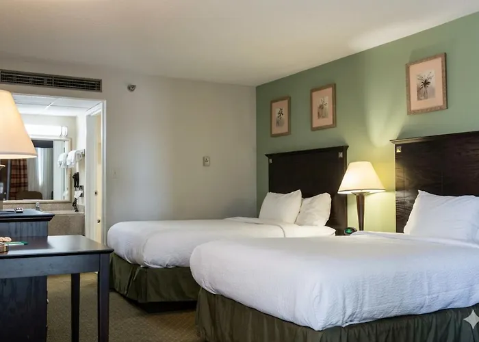 Hotel Quality & Airport