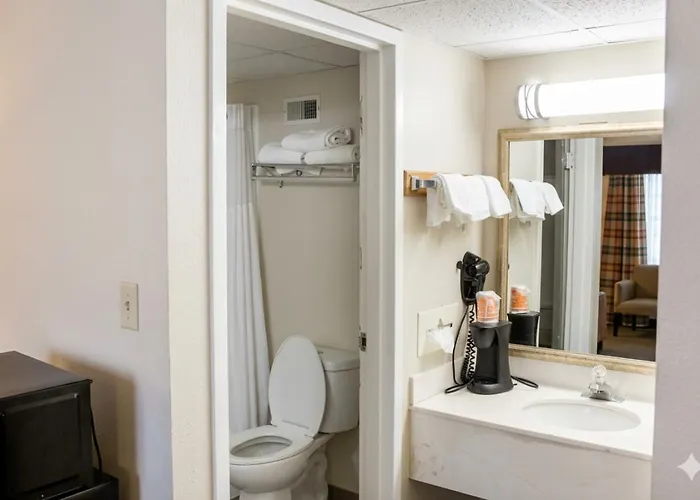 Quality & Airport Hotel 3*