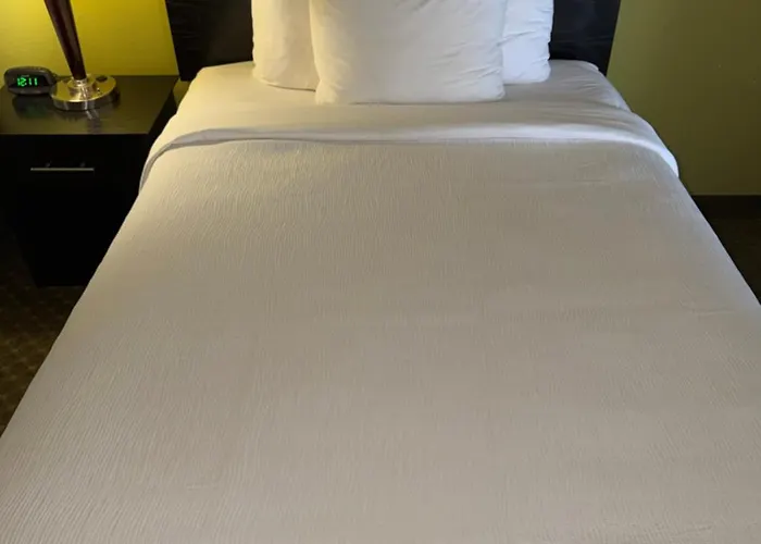 Quality & Airport Hotel