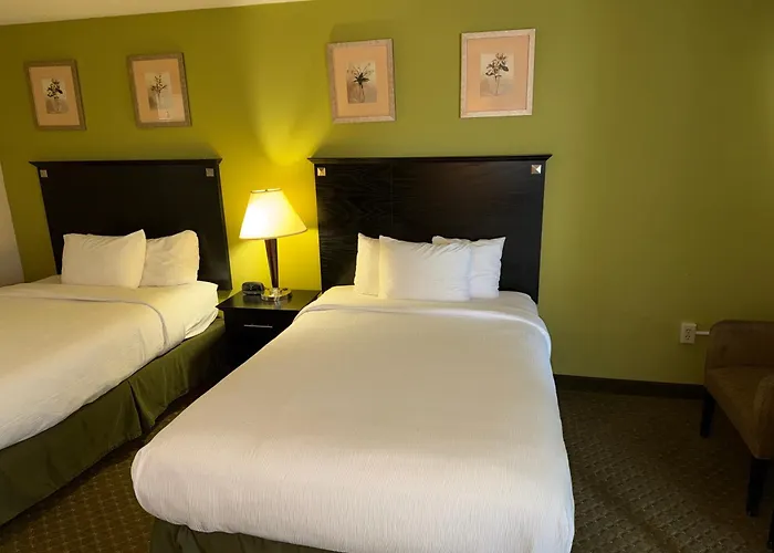 Quality & Airport Hotel 3*