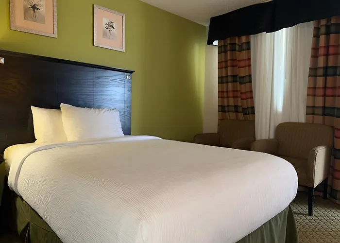 Quality & Airport Hotel Moline